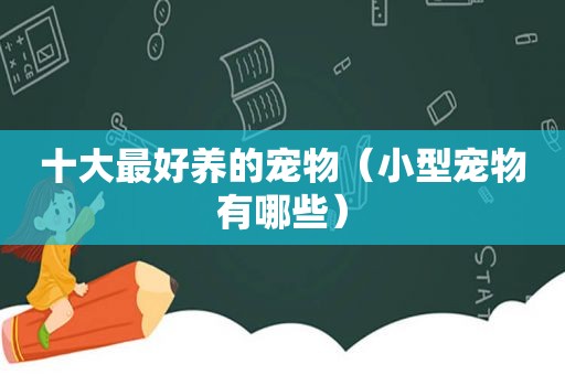 十大最好养的宠物（小型宠物有哪些）