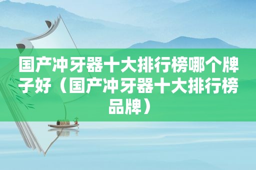国产冲牙器十大排行榜哪个牌子好（国产冲牙器十大排行榜品牌）
