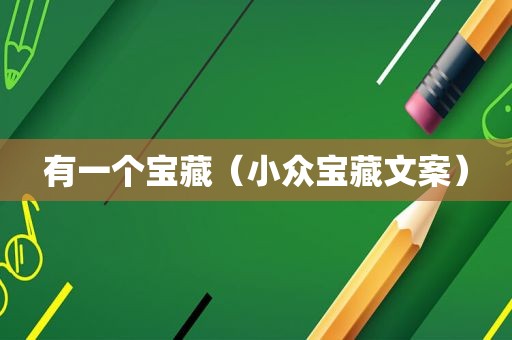 有一个宝藏（小众宝藏文案）