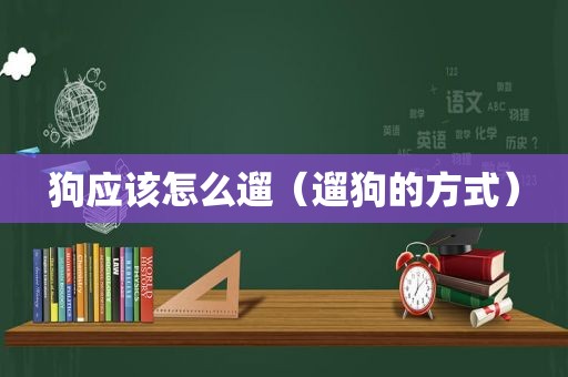 狗应该怎么遛（遛狗的方式）