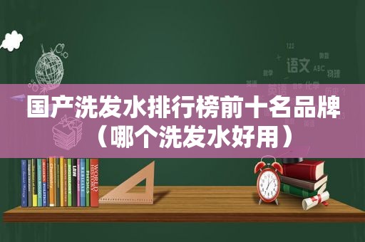 国产洗发水排行榜前十名品牌（哪个洗发水好用）