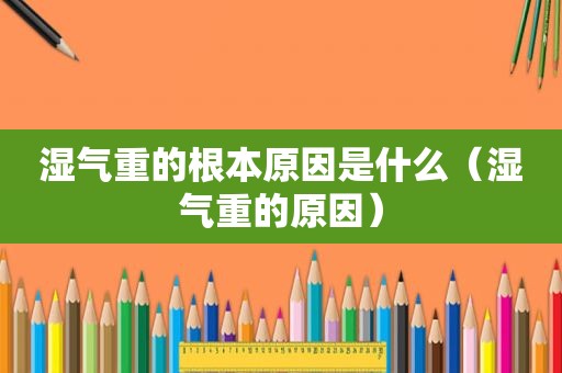 湿气重的根本原因是什么（湿气重的原因）