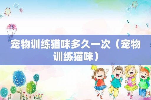 宠物训练猫咪多久一次（宠物训练猫咪）