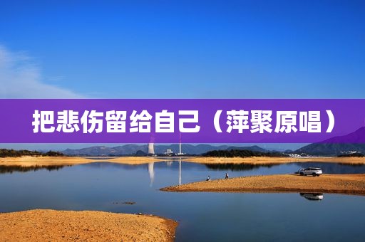 把悲伤留给自己（萍聚原唱）