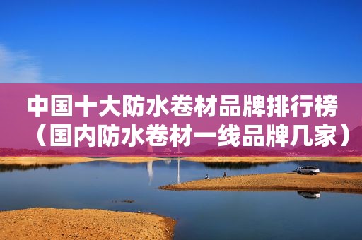中国十大防水卷材品牌排行榜（国内防水卷材一线品牌几家）