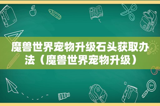 魔兽世界宠物升级石头获取办法（魔兽世界宠物升级）