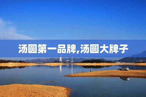 汤圆第一品牌,汤圆大牌子