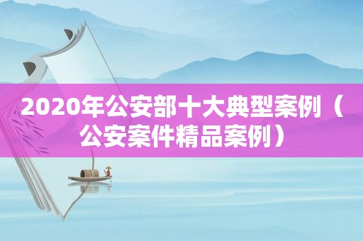 2020年公安部十大典型案例（公安案件精品案例）