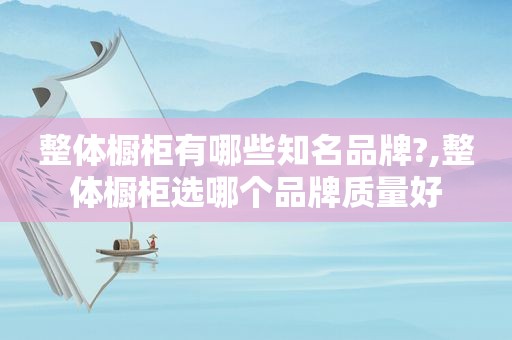整体橱柜有哪些知名品牌?,整体橱柜选哪个品牌质量好
