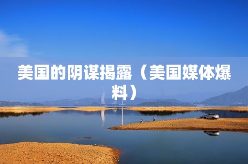 美国的阴谋揭露（美国媒体爆料）
