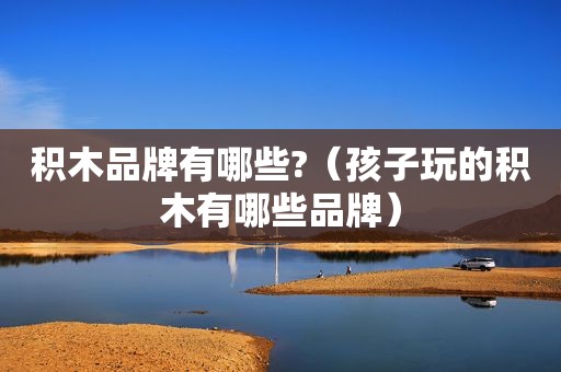 积木品牌有哪些?（孩子玩的积木有哪些品牌）