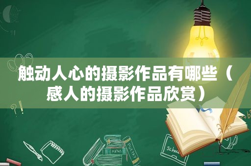 触动人心的摄影作品有哪些（感人的摄影作品欣赏）
