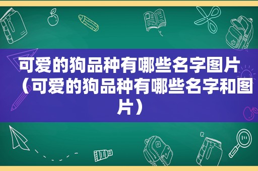 可爱的狗品种有哪些名字图片（可爱的狗品种有哪些名字和图片）