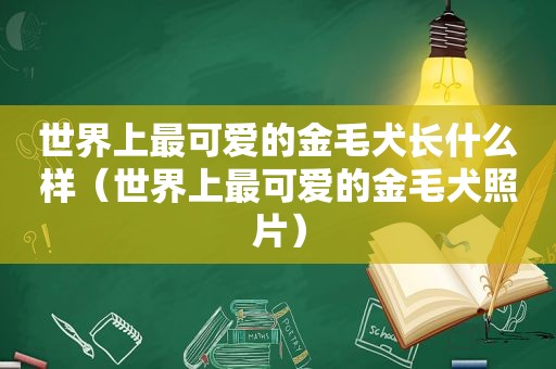 世界上最可爱的金毛犬长什么样（世界上最可爱的金毛犬照片）