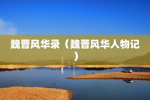 魏晋风华录（魏晋风华人物记）