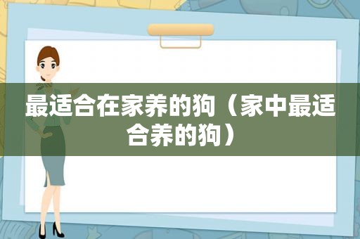 最适合在家养的狗（家中最适合养的狗）