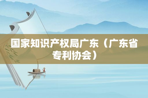 国家知识产权局广东（广东省专利协会）