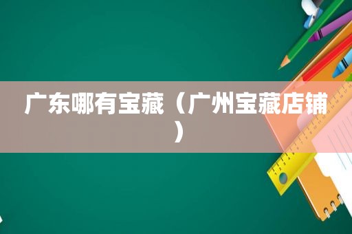 广东哪有宝藏（广州宝藏店铺）