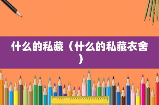 什么的私藏（什么的私藏衣舍）
