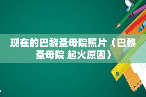 现在的巴黎圣母院照片（巴黎圣母院 起火原因）