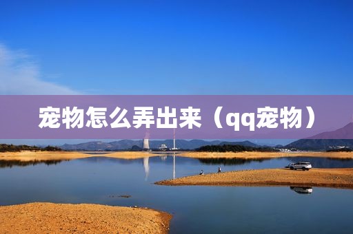 宠物怎么弄出来（qq宠物）