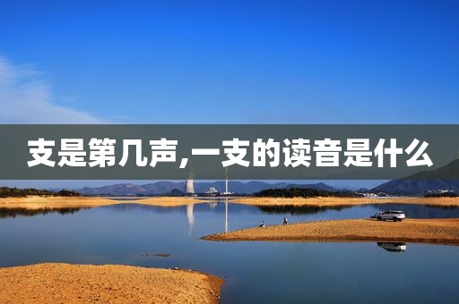支是第几声,一支的读音是什么