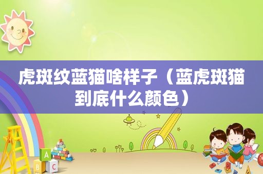 虎斑纹蓝猫啥样子（蓝虎斑猫到底什么颜色）