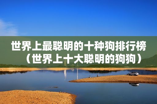 世界上最聪明的十种狗排行榜（世界上十大聪明的狗狗）
