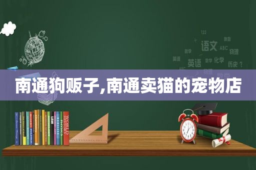 南通狗贩子,南通卖猫的宠物店