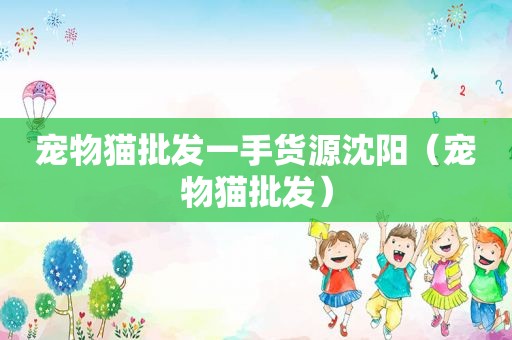 宠物猫批发一手货源沈阳（宠物猫批发）