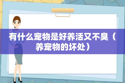 有什么宠物是好养活又不臭（养宠物的坏处）