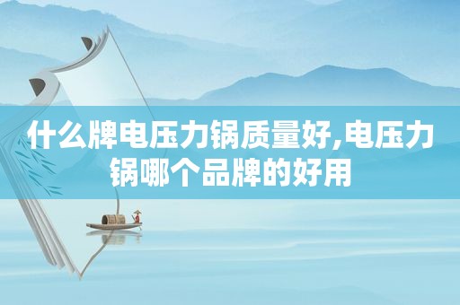什么牌电压力锅质量好,电压力锅哪个品牌的好用