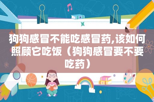 狗狗感冒不能吃感冒药,该如何照顾它吃饭（狗狗感冒要不要吃药）