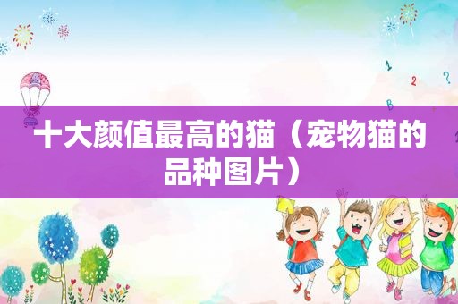 十大颜值最高的猫（宠物猫的品种图片）