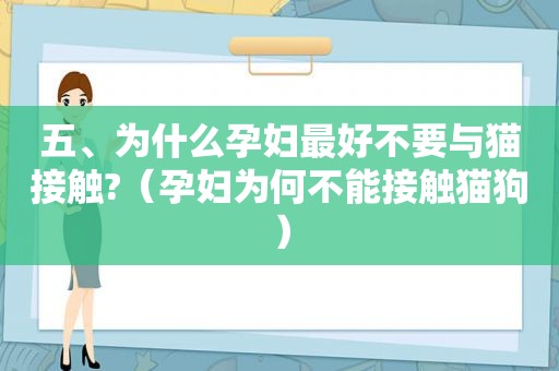 五、为什么孕妇最好不要与猫接触?（孕妇为何不能接触猫狗）