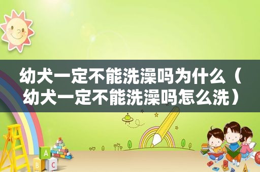 幼犬一定不能洗澡吗为什么（幼犬一定不能洗澡吗怎么洗）