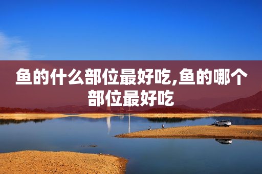 鱼的什么部位最好吃,鱼的哪个部位最好吃