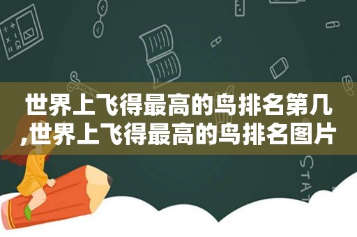 世界上飞得最高的鸟排名第几,世界上飞得最高的鸟排名图片
