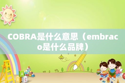 COBRA是什么意思（embraco是什么品牌）