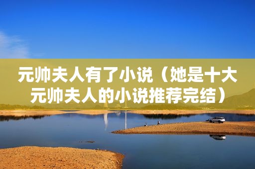 元帅夫人有了小说（她是十大元帅夫人的小说推荐完结）
