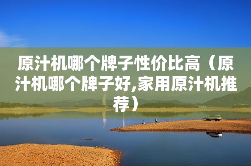 原汁机哪个牌子性价比高（原汁机哪个牌子好,家用原汁机推荐）