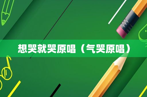 想哭就哭原唱（气哭原唱）