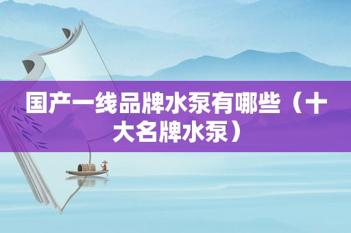 国产一线品牌水泵有哪些（十大名牌水泵）