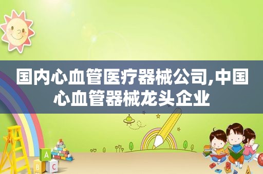 国内心血管医疗器械公司,中国心血管器械龙头企业