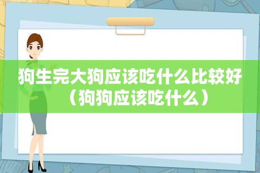 狗生完大狗应该吃什么比较好（狗狗应该吃什么）