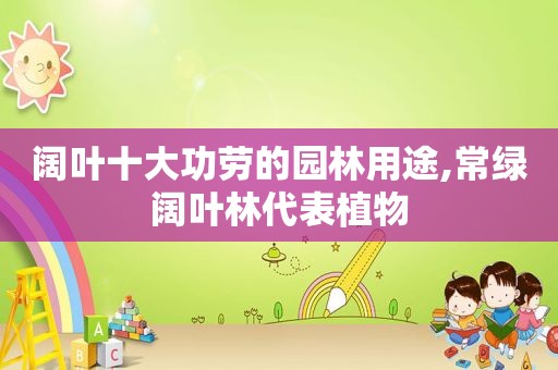 阔叶十大功劳的园林用途,常绿阔叶林代表植物