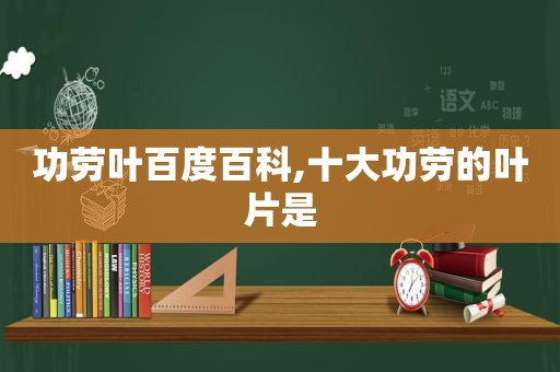 功劳叶百度百科,十大功劳的叶片是