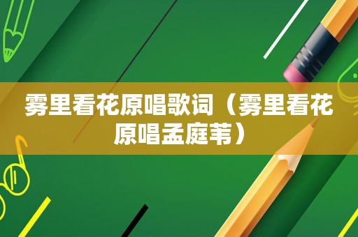 雾里看花原唱歌词（雾里看花原唱孟庭苇）