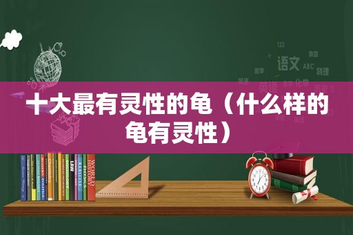 十大最有灵性的龟（什么样的龟有灵性）