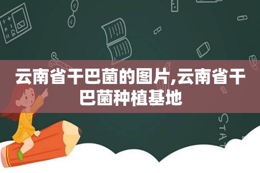云南省干巴菌的图片,云南省干巴菌种植基地